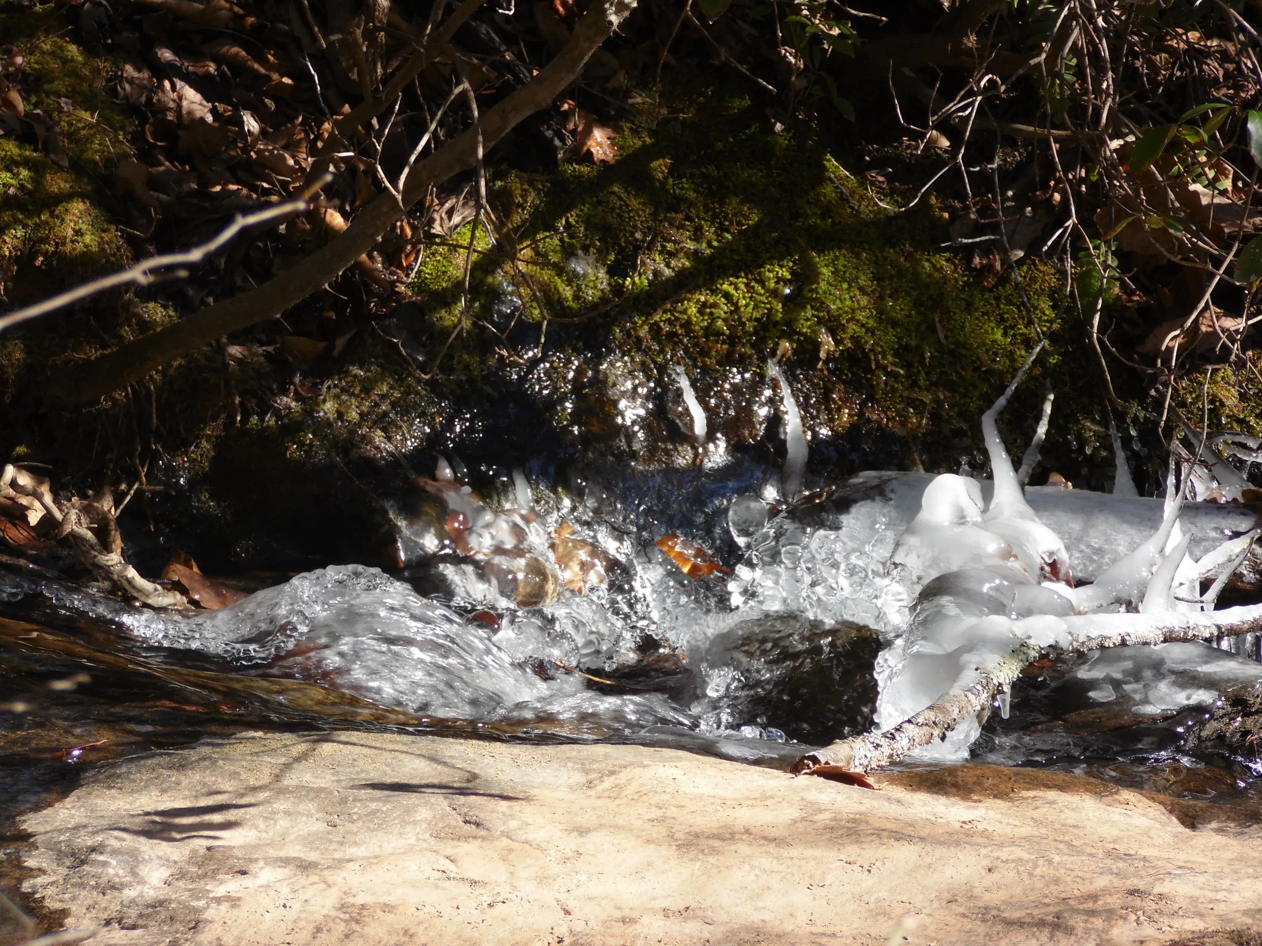 Hike the Sauratown Trail