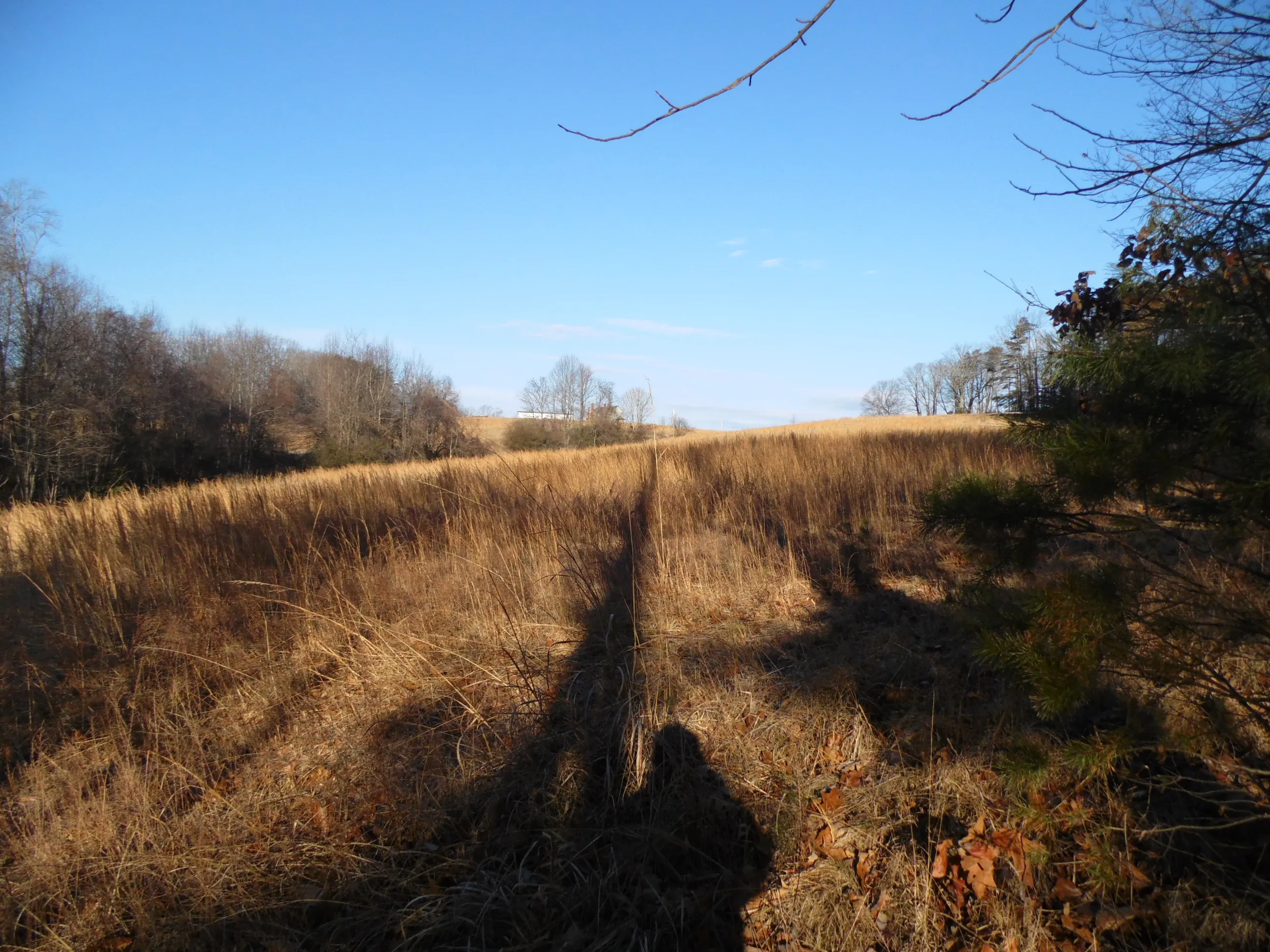 Hike the Sauratown Trail