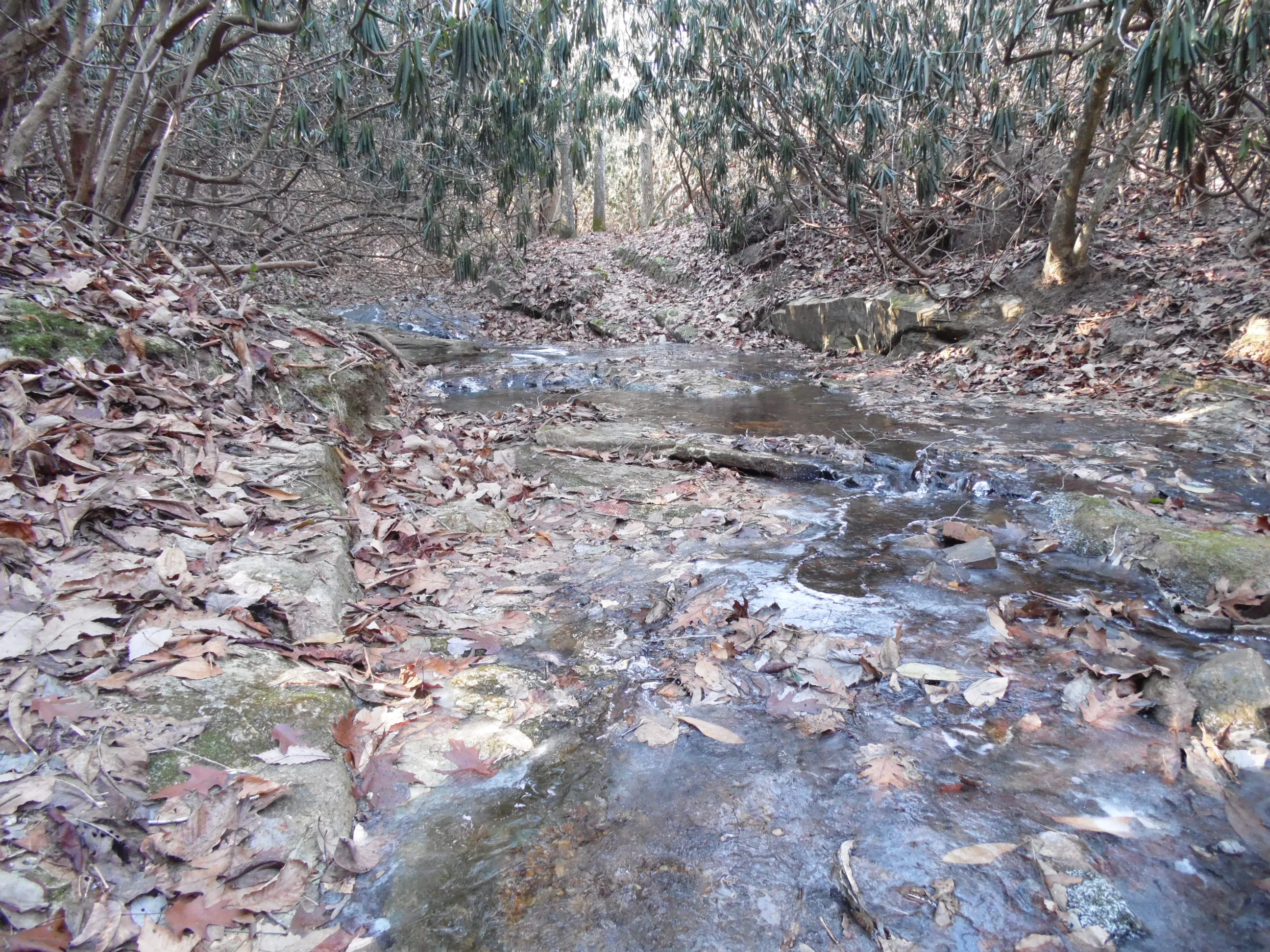 Hike the Sauratown Trail