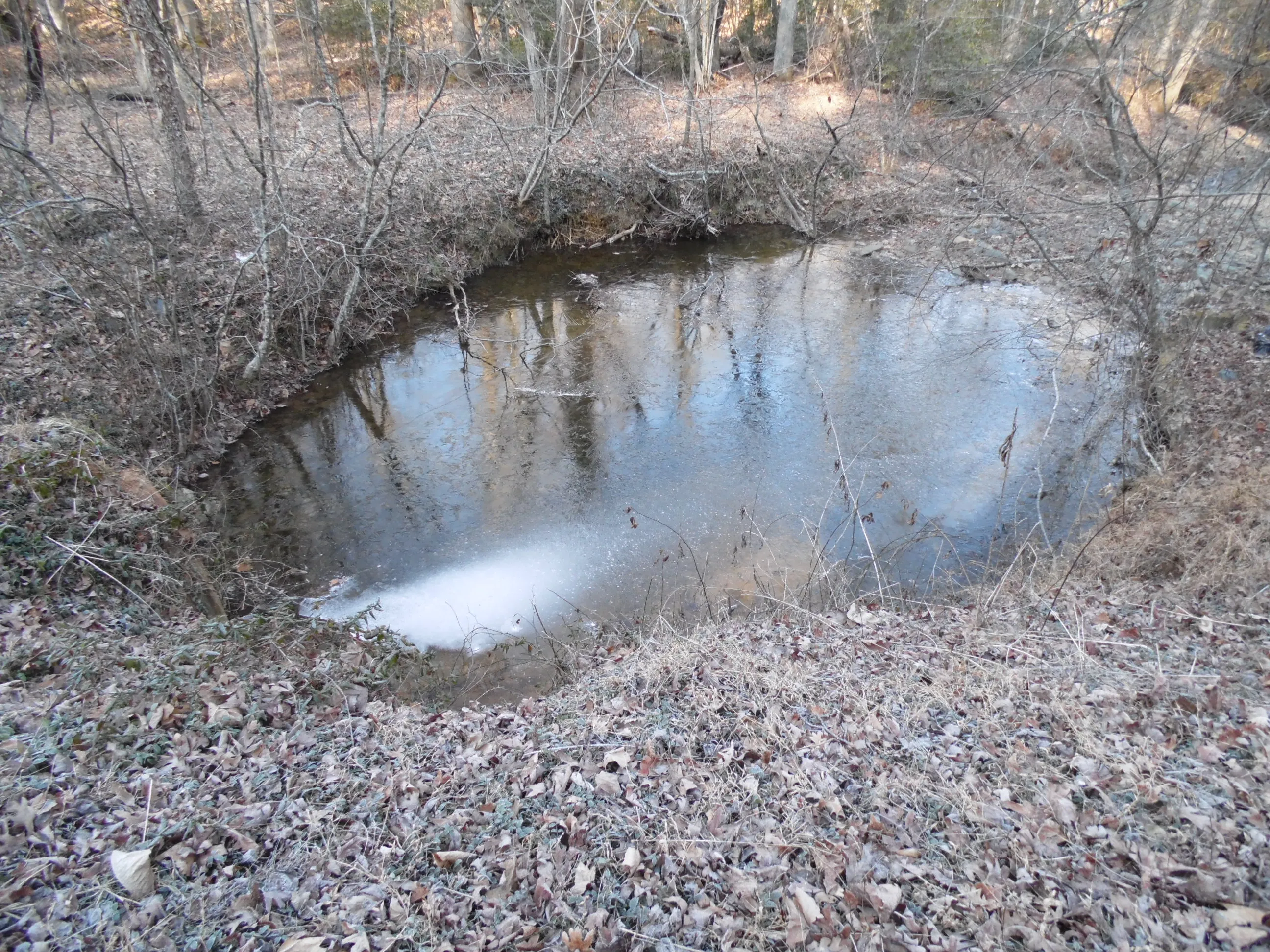 Hike the Sauratown Trail