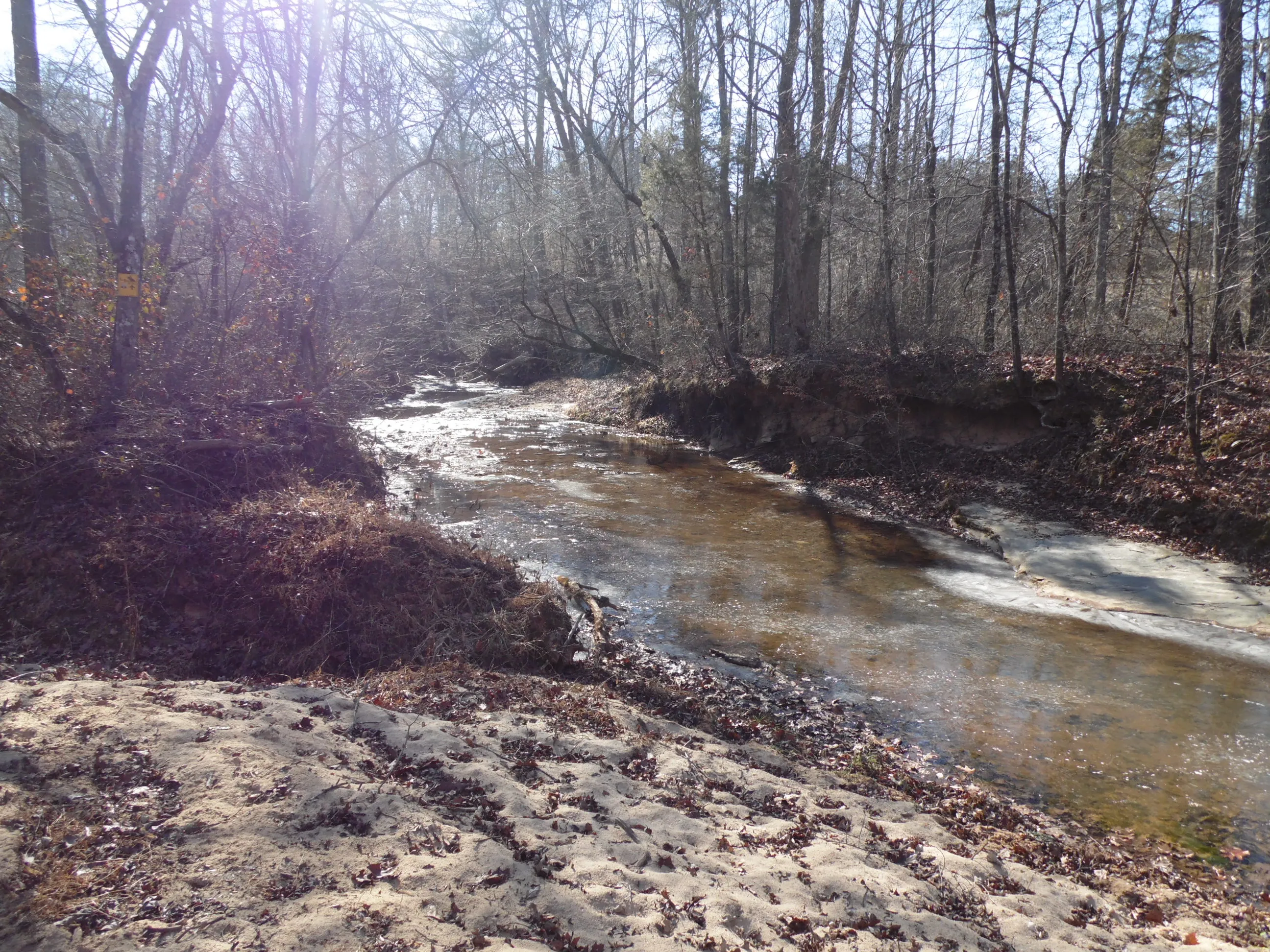 Hike the Sauratown Trail