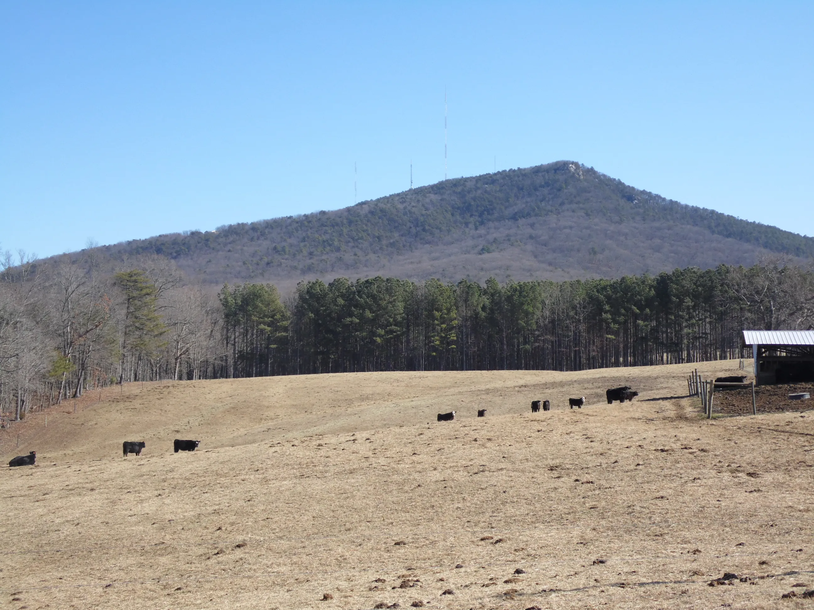 Hike the Sauratown Trail