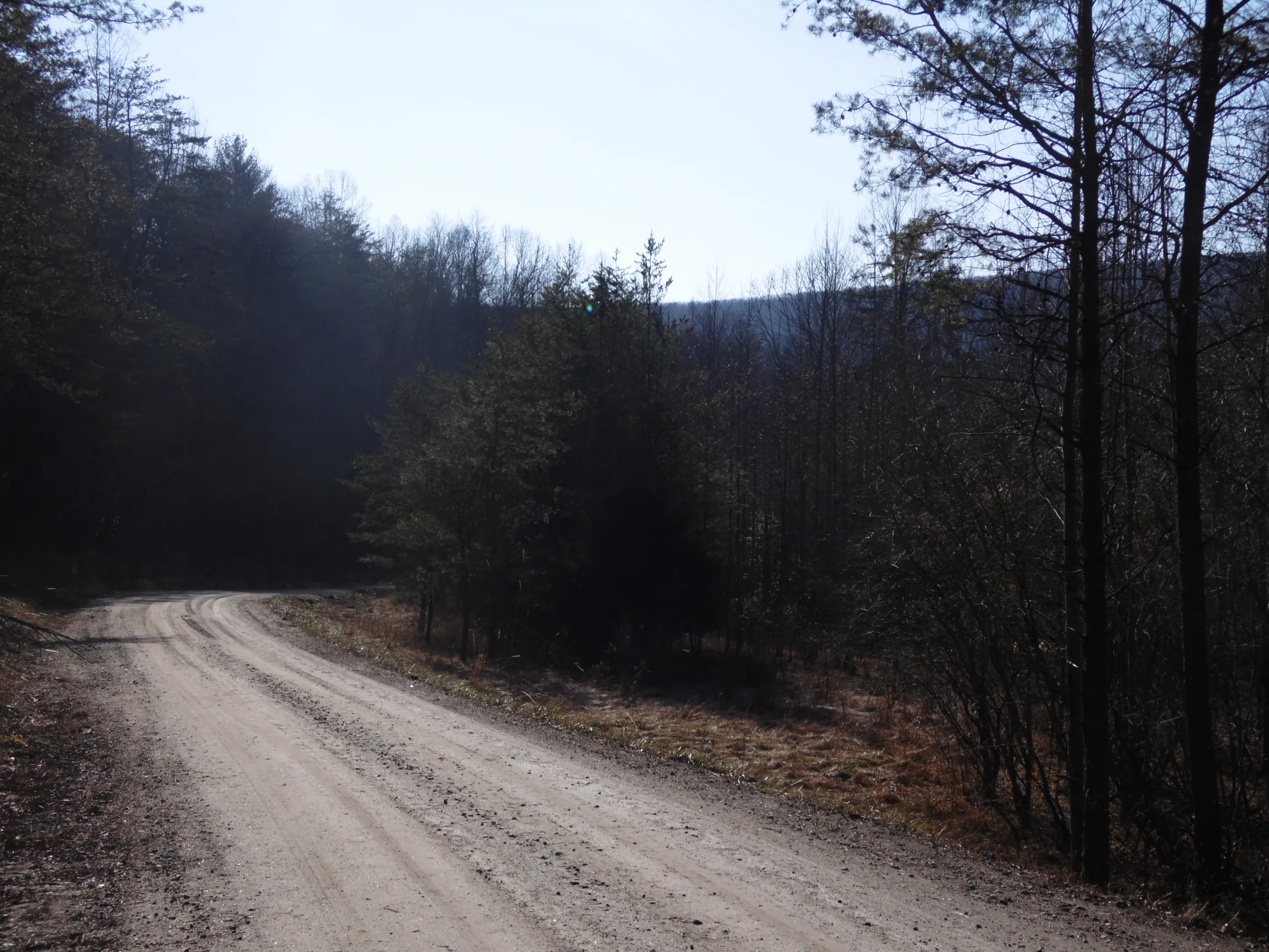 Hike the Sauratown Trail