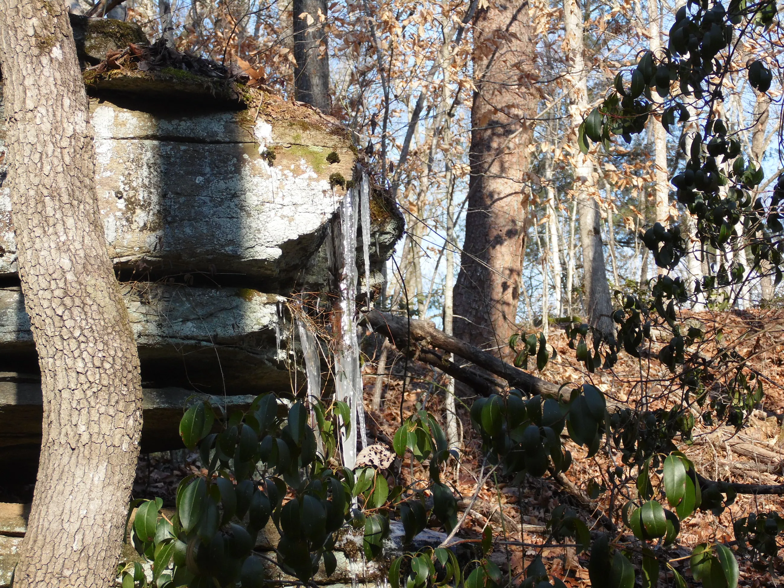 Hike the Sauratown Trail