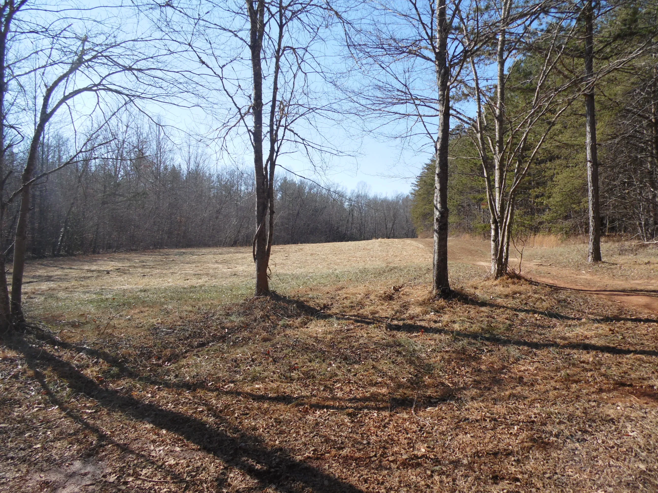 Hike the Sauratown Trail