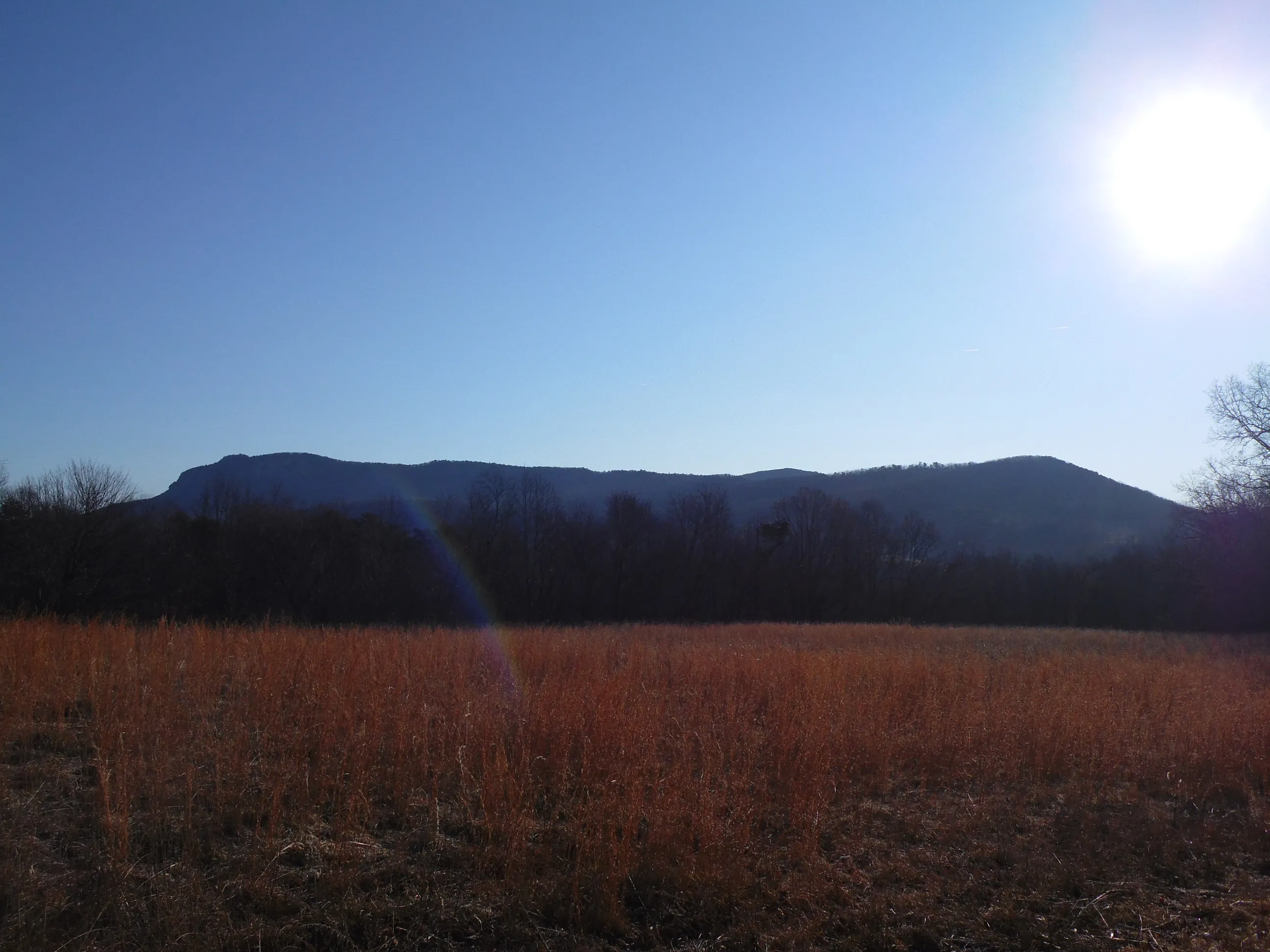 Hike the Sauratown Trail