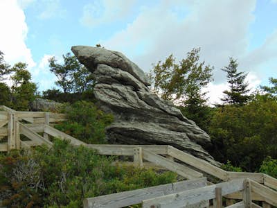 Rough Ridge Trail