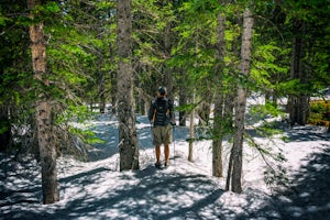 The Pros and Cons of Hiking with Trekking Poles 