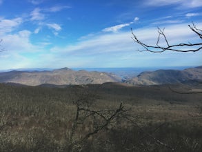 Hike to the Top of Bearwallow Mountain