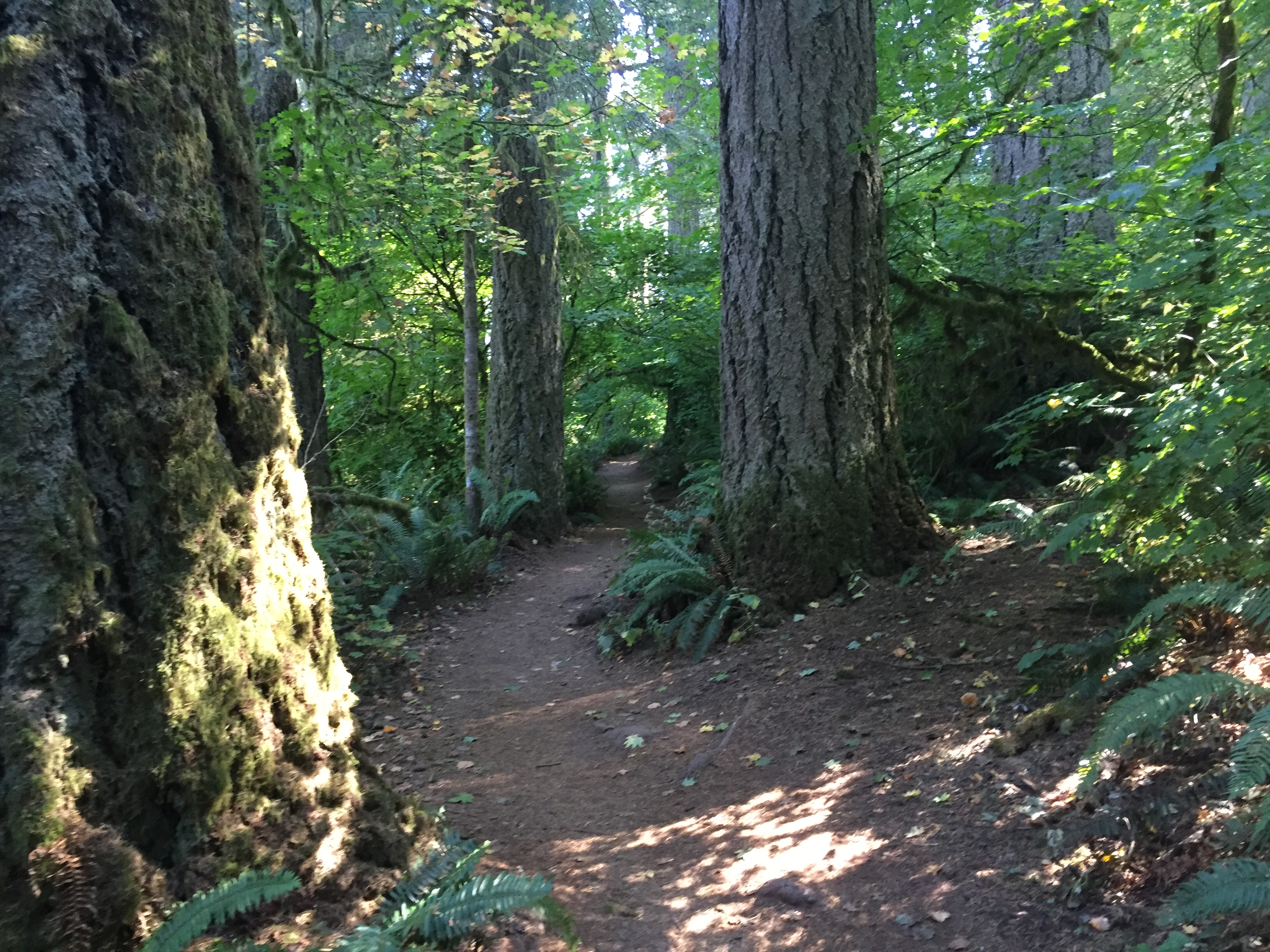 Spencer Butte Loop