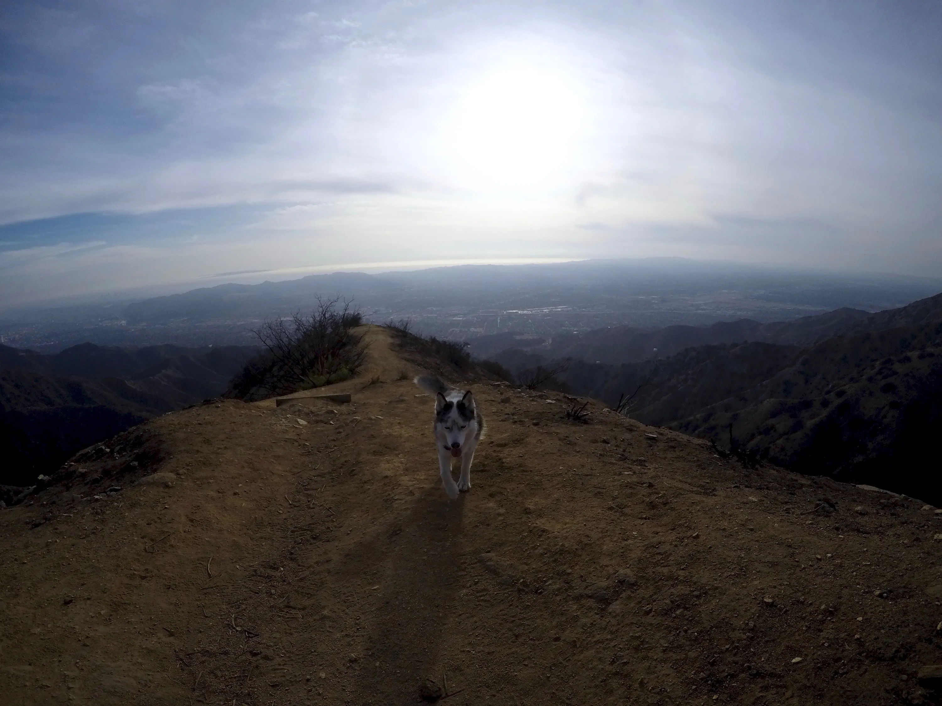 Wildwood Canyon Loop