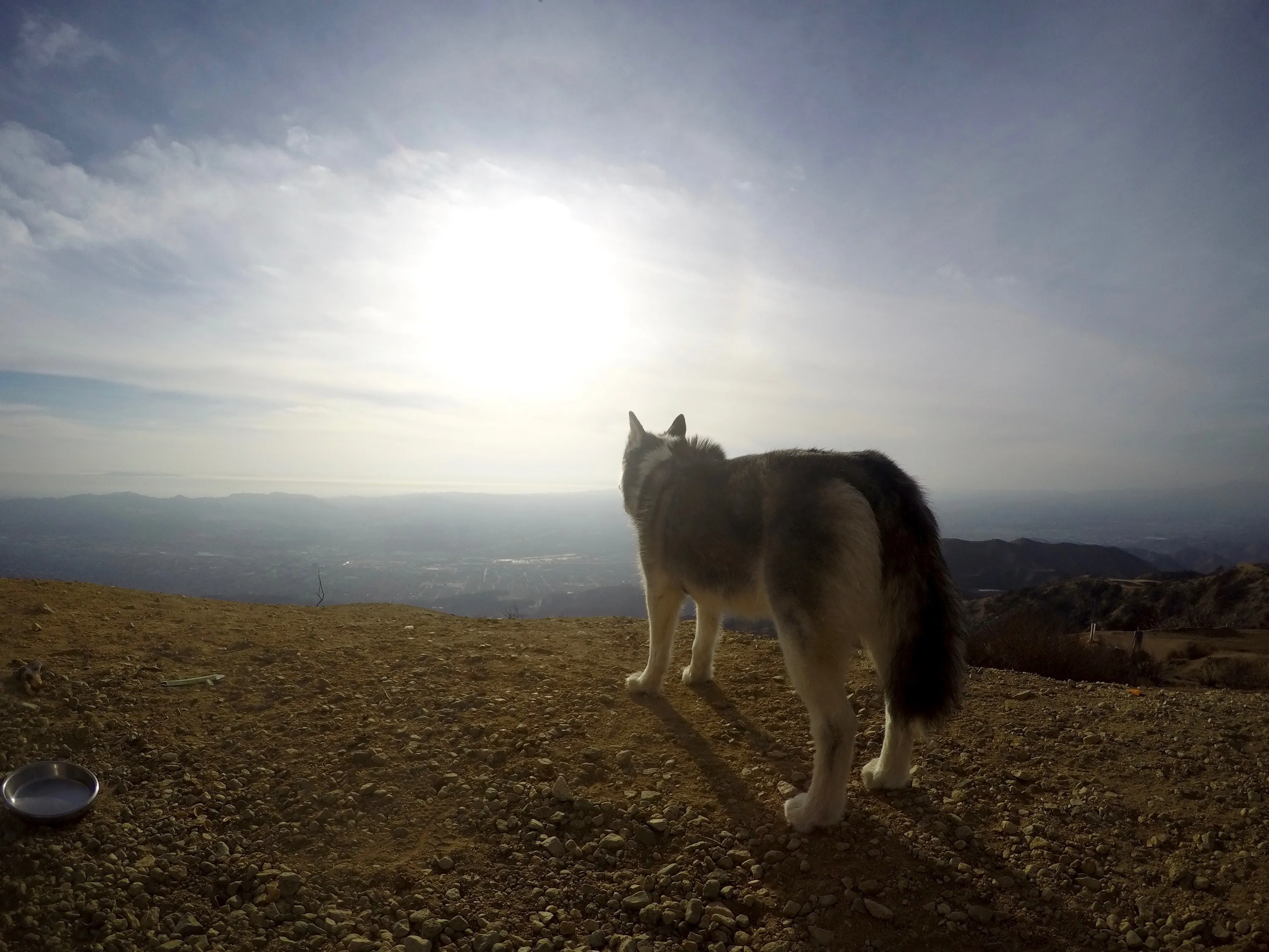 Wildwood Canyon Loop