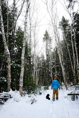 Snowshoe through White Rock Recreational Area