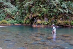 7 Photos from Fly Fishing the Olympic Peninsula