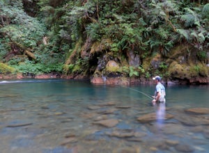 7 Photos from Fly Fishing the Olympic Peninsula