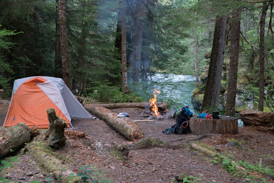 Camp at the Dose Forks, Dosewallips Campground Parking Area