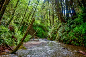 A Weekend of Adventure in Redwood National and State Parks