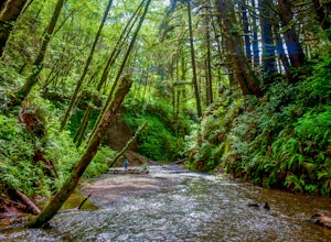 A Weekend of Adventure in Redwood National and State Parks