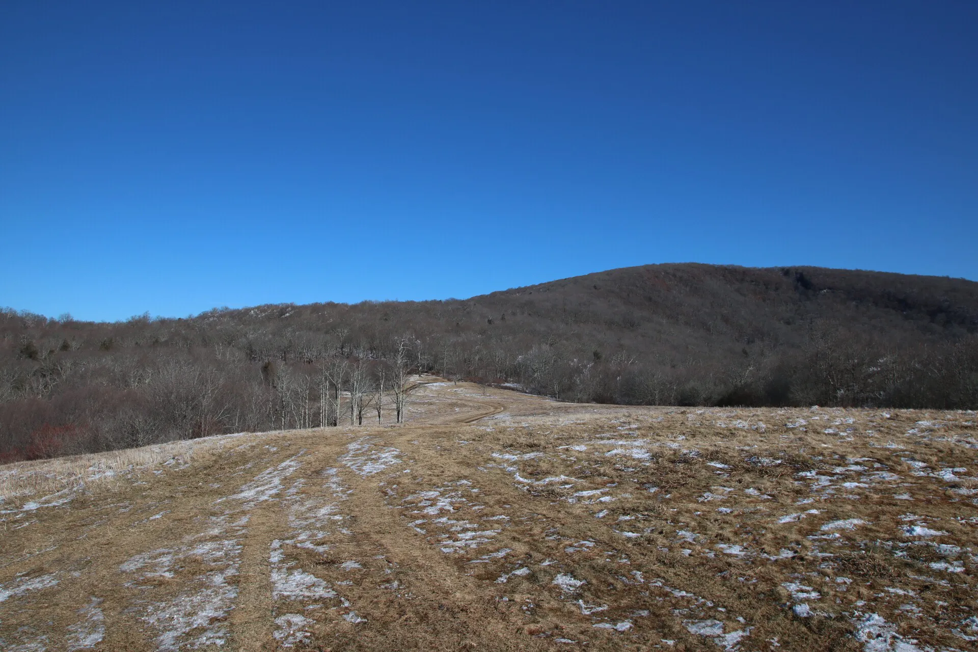 Hike to Whiggs Meadow