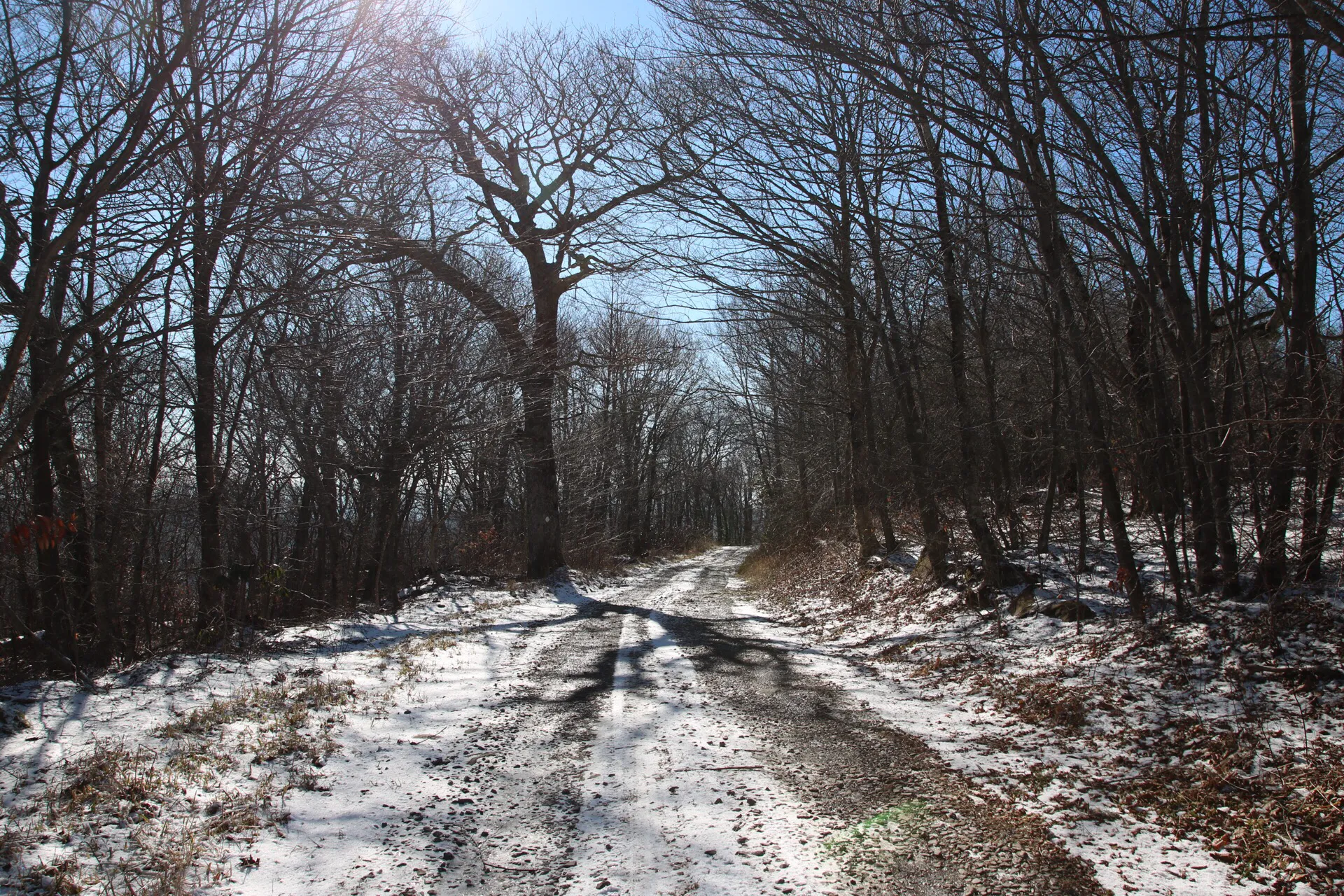 Hike to Whiggs Meadow