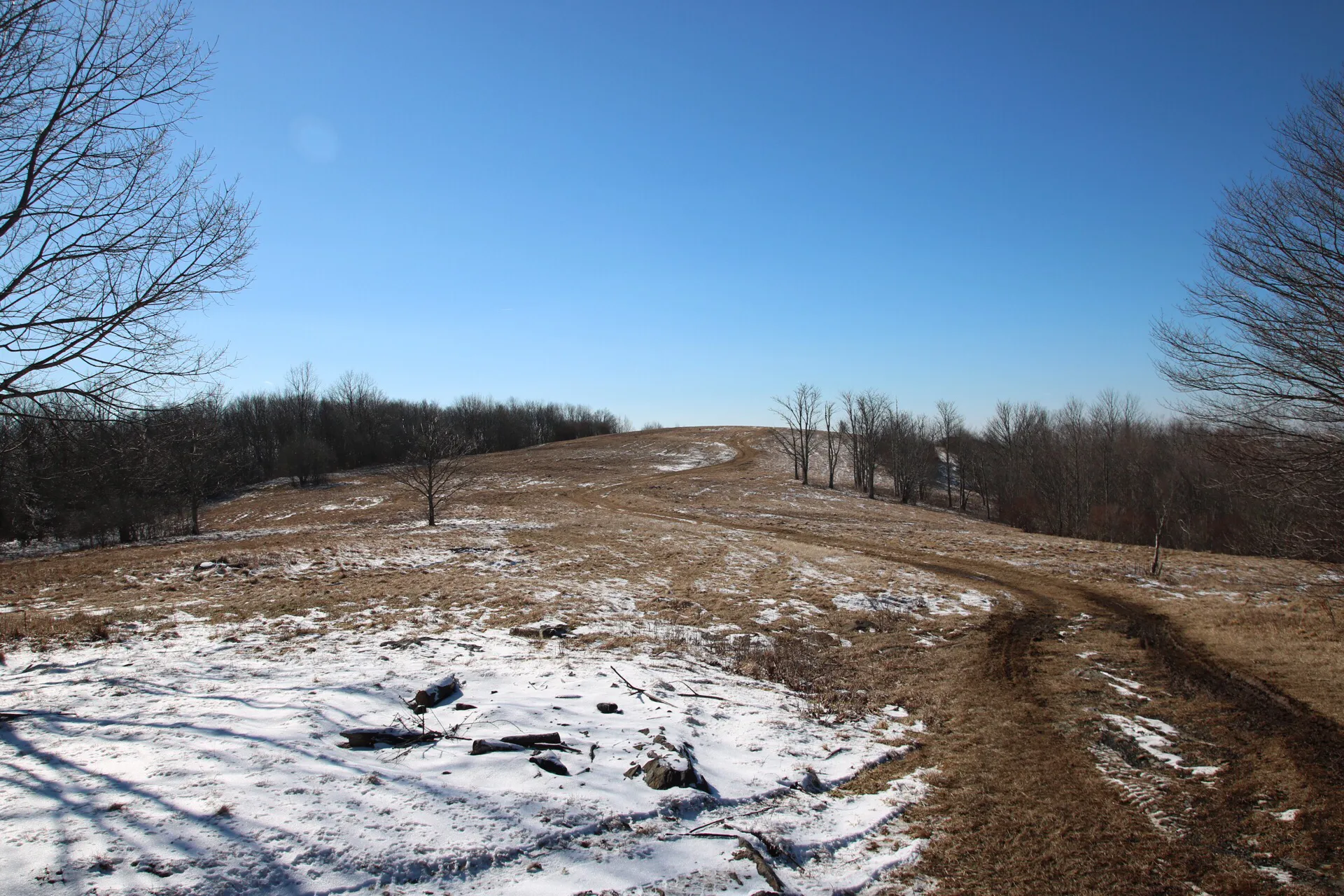 Hike to Whiggs Meadow