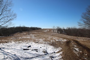 Hike to Whiggs Meadow