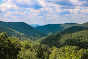 Drive Ridge Road in Elk State Forest