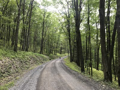 Drive Ridge Road in Elk State Forest