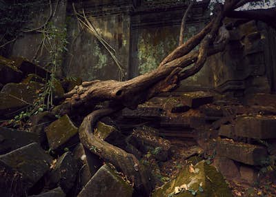 Escape to the Ruins of Beng Mealea