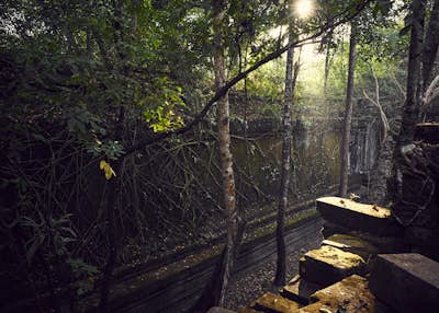 Escape to the Ruins of Beng Mealea