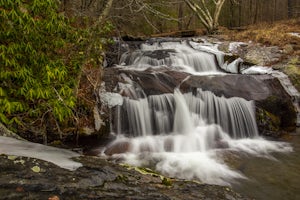 Photograph Statons Creek Falls