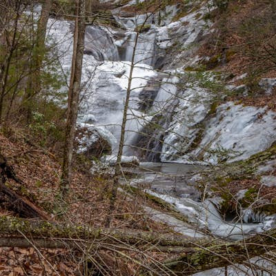 Photograph Statons Creek Falls