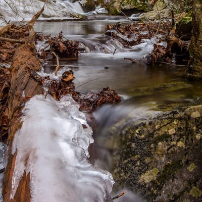 Photograph Statons Creek Falls