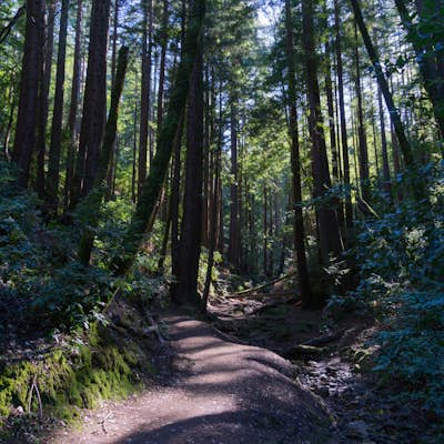 Hike the Crystal Springs Trail Loop