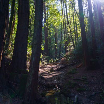 Hike the Crystal Springs Trail Loop