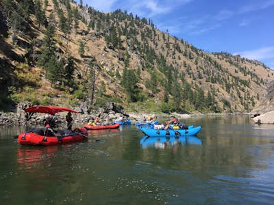Whitewater Raft the Main Salmon River