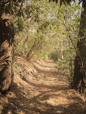 Hike the Gahuti Trail 