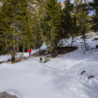 Run or Hike to First and Second Lake via Big Pine Creek North Fork