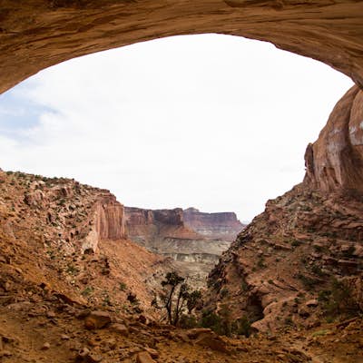 Photograph the Mysterious False Kiva, Canyonlands National Park, Utah