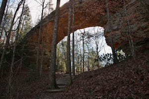 Hike to Twin Arches