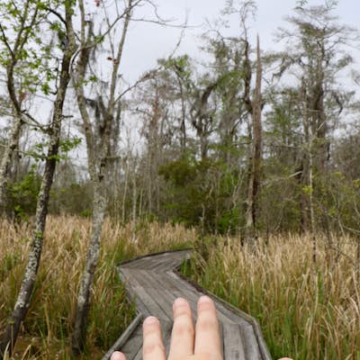 Hike the Bayou Sauvage National Wildlife Refuge Trail