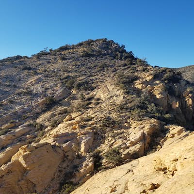 Hike The Mountain Springs Trail