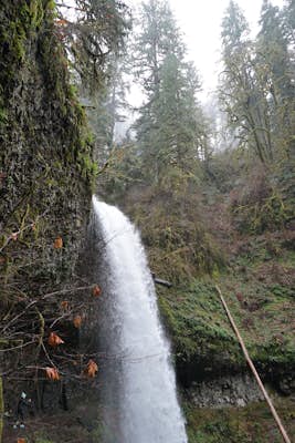 Silver Falls State Park