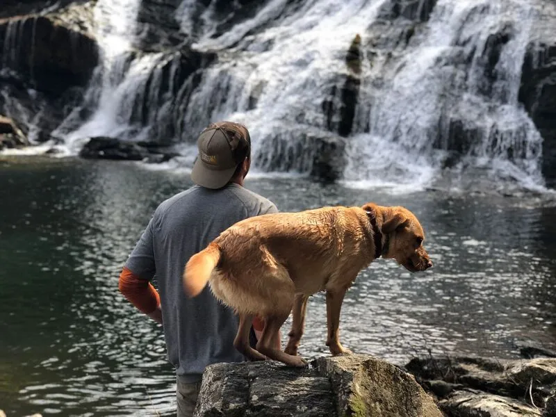 Salt Creek Falls