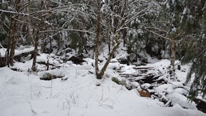 Hike to Otter Falls