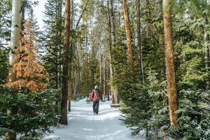 Winter Hike to Calypso Cascades