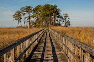 Explore Eastern Neck National Wildlife Refuge