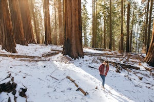 Hike the Sugar Bowl Loop in Kings Canyon NP