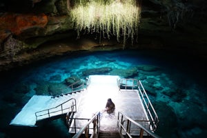 Snorkel & Dive at Devil's Den