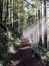 Hike the Boulder River Trail